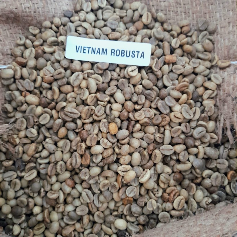 Kawa zielona Robusta Vietnam gr.1  scr.18 (60kg)