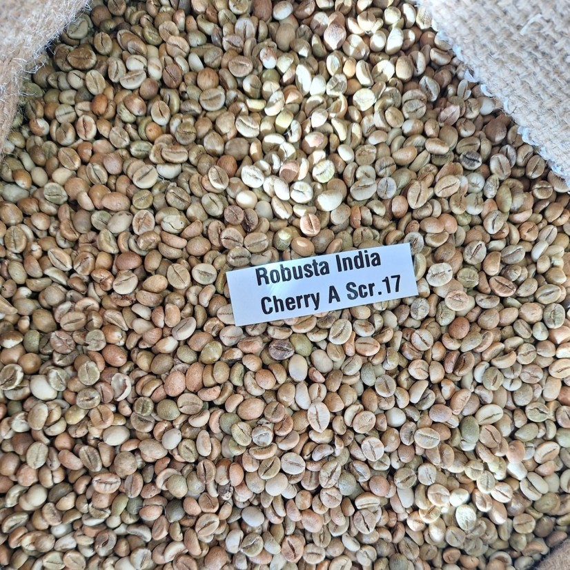 Kawa Zielona India Cherry A Robusta (60kg)