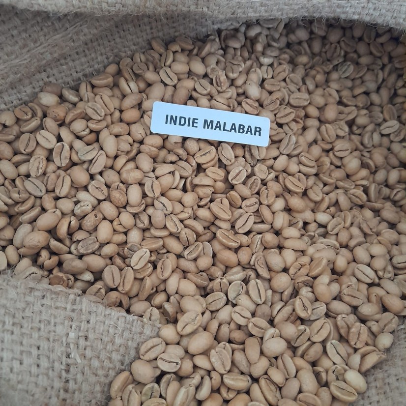 Green Coffee India Monsooned Malabar AA (50kg)