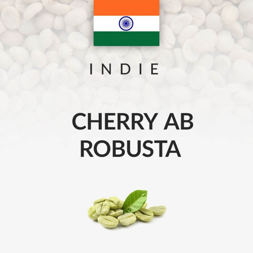 Green Coffee India Cherry AB Robusta