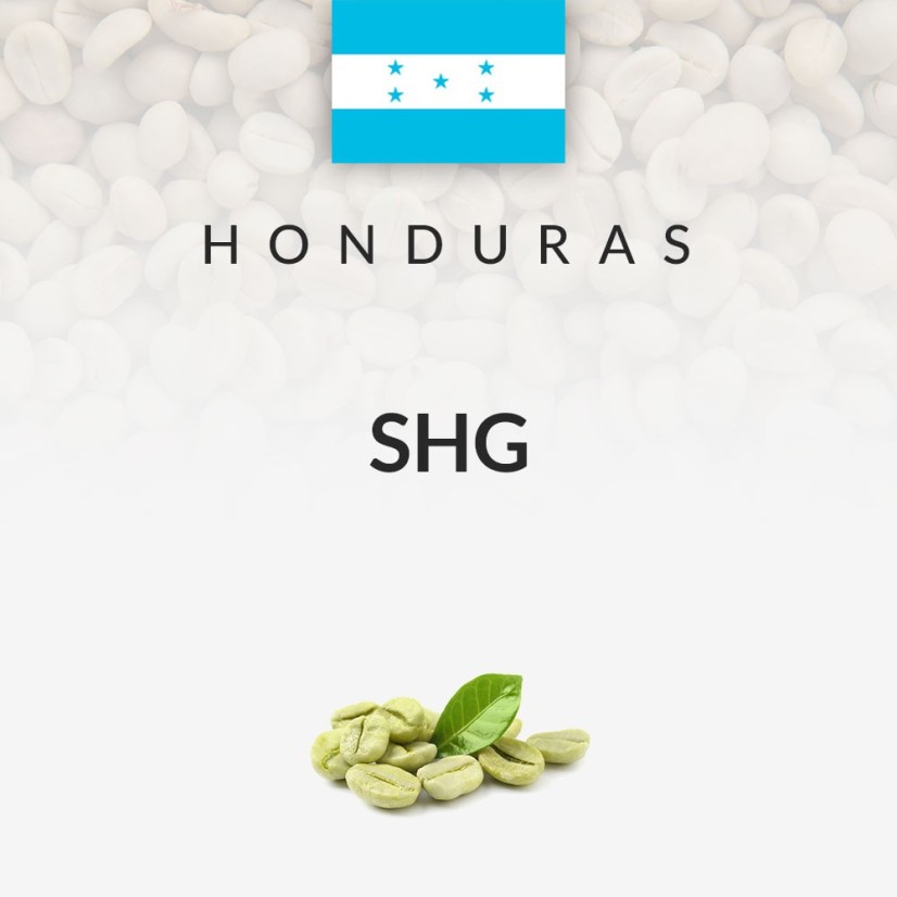 Kawa zielona Honduras SHG (69kg)