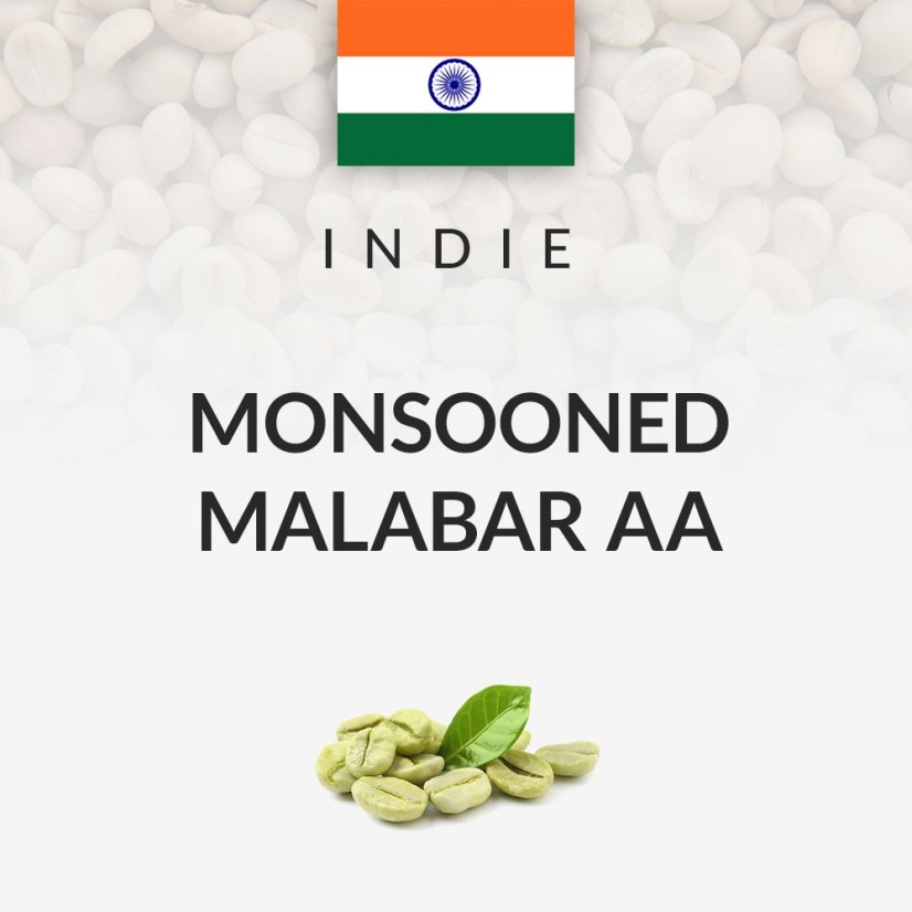 Kawa zielona Indie Monsooned Malabar AA (50kg)
