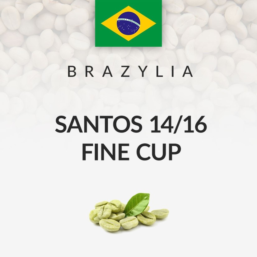 Zielona kawa Brazylia Santos 14/16 Fine Cup (60kg)