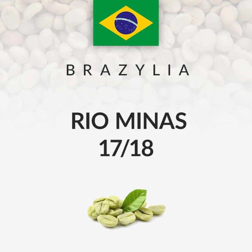 Green coffee Brazil Rio Minas 17/18 (60kg)