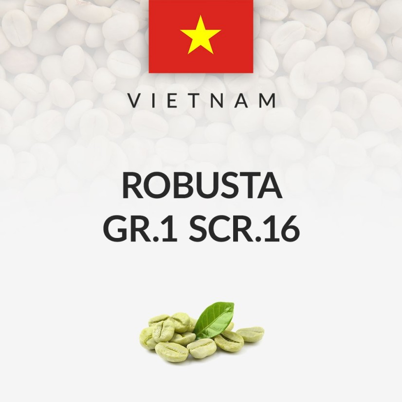 Green Coffee Vietnam Robusta gr.1 scr.16 WP (60kg)