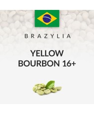 Green Coffee Brasil Yellow...