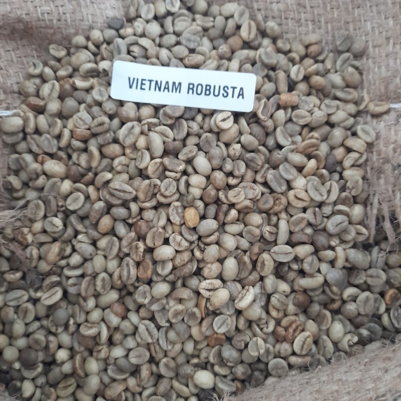 Kawa zielona Robusta Vietnam gr.1  scr.16 WP (60kg)