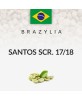 Green Coffee Brasil Santos...
