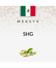 Kawa Zielona Meksyk SHG (69kg)