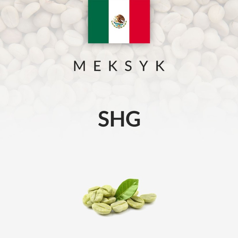 Kawa Zielona Meksyk SHG (69kg)