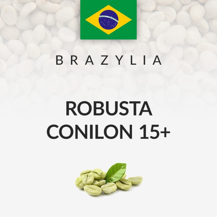 Zielona kawa robusta Brazylia Conilon
